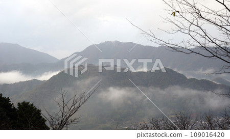Takeda Castle at dawn seen from Ritsuunkyo 109016420