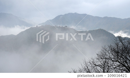 Takeda Castle in the morning mist seen from Ritsuunkyo 109016421