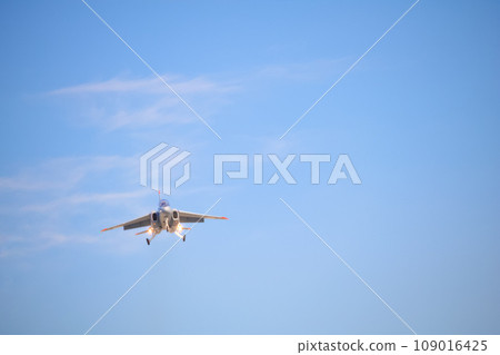 [Gifu Prefecture] Fighter aircraft at the Air Self-Defense Force Gifu Base 109016425