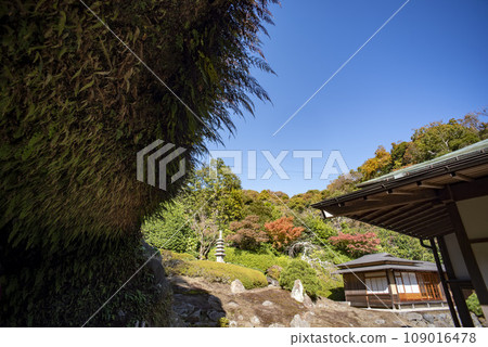 Kamakura November Kaizoji Temple 5 Kamakura November Kaizoji Temple 5 109016478