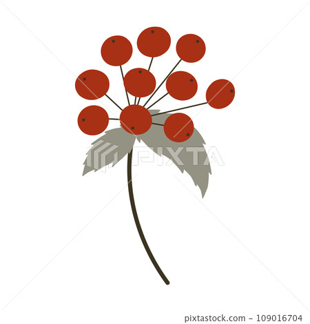 Branch with red berries vector illustration. Rowan tree twig flat cartoon stylized drawing isolated on white background. Floral decorative element for Christmas, winter holidays, autumn design 109016704