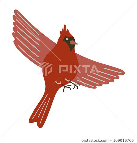 Red cardinal bird vector illustration. Cute flying Northern cardinal songbird isolated on white background. Winter forest bird, Christmas and spiritual symbolism animal 109016706