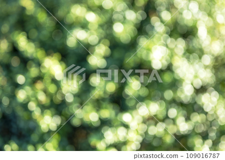 Ball bokeh green background material winter material 109016787