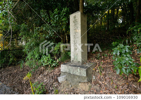 日本白鳥武石碑(奈良縣御所市) 日本白鳥武石碑(奈良縣御所市) 109016930