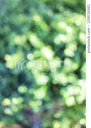 球景綠色背景素材冬季素材 球景綠色背景素材冬季素材 109016982