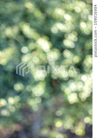 球景綠色背景素材冬季素材 球景綠色背景素材冬季素材 109016984