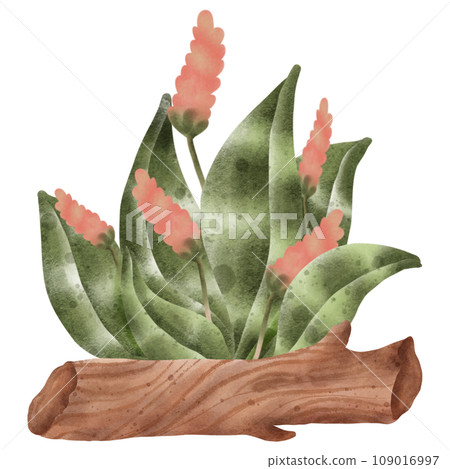 Watercolor painting of a flower tree next to a log for gardening. 109016997