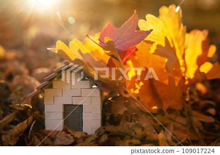 Miniature wooden house with yellow leaves on a sunny autumn day. Real estate and affordable housing concept. Mortgage, loan and insurance of apartments. Selling and buying home. Sunset Miniature wooden house with yellow leaves on a sunny autumn day. Real estate and affordable housing concept. Mortgage, loan and insurance of apartments. Selling and buying home. Sunset 109017224
