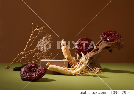 Concept for advertising product from traditional medicine at Korean. Ganoderma mushrooms and ginseng roots decorated on brown and green background with dry twigs and wooden podium. Space for design 109017904