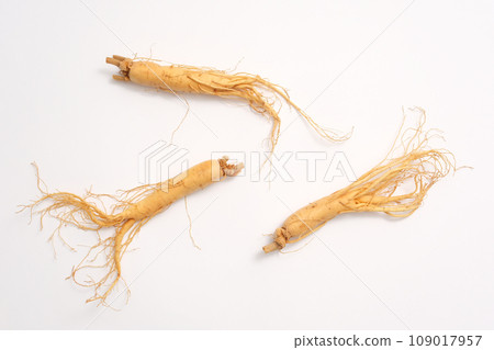 On the white background, fresh ginseng roots isolated. Minimalist scene of traditional medicine with original from Korea good for health. Top view, flat lay On the white background, fresh ginseng roots isolated. Minimalist scene of traditional medicine with original from Korea good for health. Top view, flat lay 109017957