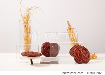 Scene for advertising and promote product from ginseng and reishi mushrooms ingredients. Fresh ginseng roots and lingzhi decorated with glass podiums on white background. Front view Scene for advertising and promote product from ginseng and reishi mushrooms ingredients. Fresh ginseng roots and lingzhi decorated with glass podiums on white background. Front view 109017965