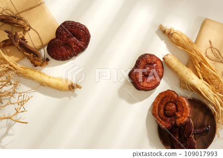 Medicines originating from ancient China and Korean, health-protecting foods. Fresh ginseng roots and lingzhi mushrooms decorated with medicine packaging and dry twigs on white background Medicines originating from ancient China and Korean, health-protecting foods. Fresh ginseng roots and lingzhi mushrooms decorated with medicine packaging and dry twigs on white background 109017993