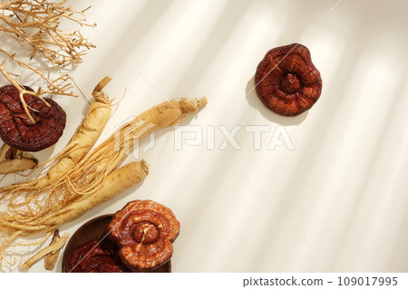 View from above of lingzhi mushrooms and ginseng roots displayed on a white background. Blank space for presentation. Scene for medicine advertising, photography traditional medicine content 109017995