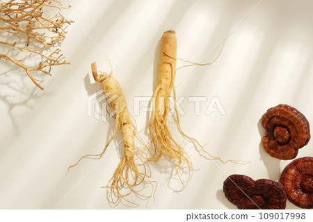 Fresh ginseng roots displayed with lingzhi mushrooms and dry twigs in white background. Traditional Chinese medicine is used in the prevention and treatment of diseases. Top view, space for design Fresh ginseng roots displayed with lingzhi mushrooms and dry twigs in white background. Traditional Chinese medicine is used in the prevention and treatment of diseases. Top view, space for design 109017998