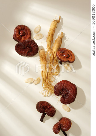 Background for advertising with the concept of folk medicine, rare herbal ingredient. Fresh ginseng roots and ginseng slices, ganoderma mushrooms decorated on white background. Top view Background for advertising with the concept of folk medicine, rare herbal ingredient. Fresh ginseng roots and ginseng slices, ganoderma mushrooms decorated on white background. Top view 109018000