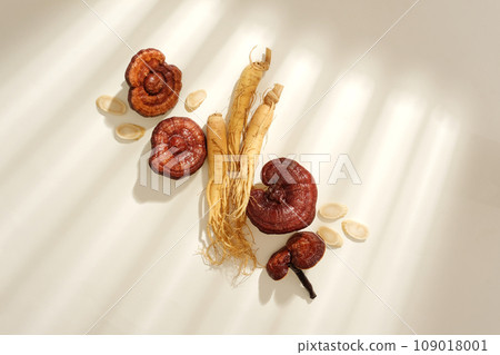 Scene for advertising natural ingredient good for health. Some rare herbs, ganoderma mushrooms, roots and slices of ginseng decorated on white background and shadow of window 109018001