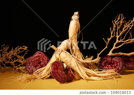 Minimalist scene for advertising and branding medicine product with herbal ingredient. Rare herbs with ganoderma mushrooms and ginseng roots decorated with dry twigs on black background Minimalist scene for advertising and branding medicine product with herbal ingredient. Rare herbs with ganoderma mushrooms and ginseng roots decorated with dry twigs on black background 109018013
