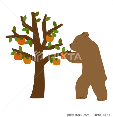 Illustration of a bear picking persimmon fruits from a persimmon tree 109018144