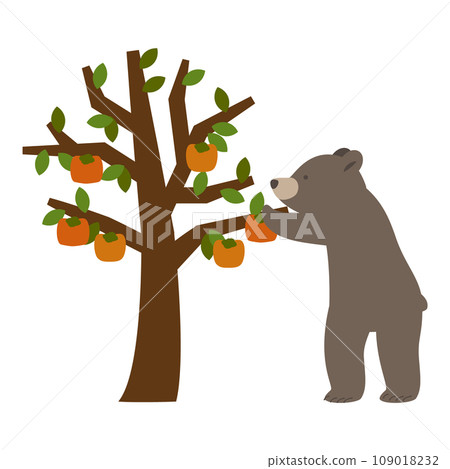 熊從柿子樹上採摘柿子的插圖 熊從柿子樹上採摘柿子的插圖 109018232