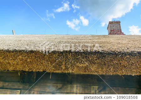 Reed roof, reed roof texture close-up. 109018508