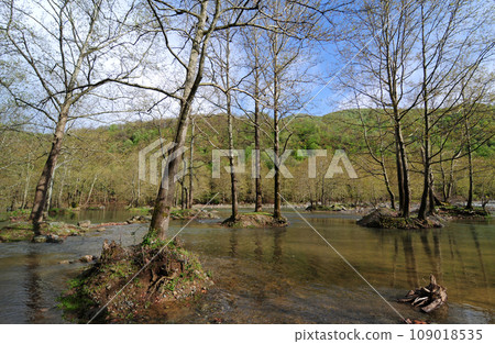 Tesvikiye, Yalova, Turkey. 109018535