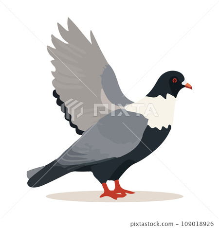 Cartoon pigeon isolated on white background. Cartoon style. Vector illustration. Cartoon pigeon isolated on white background. Cartoon style. Vector illustration. 109018926