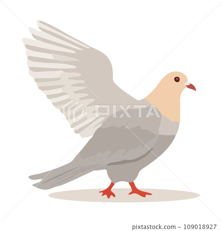 Cartoon pigeon isolated on white background. Cartoon style. Vector illustration. 109018927