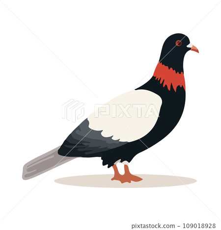 Cartoon pigeon isolated on white background. Cartoon style. Vector illustration. 109018928