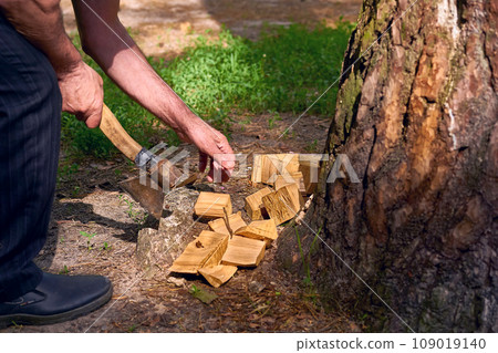 Hands of a man chopping wood with an axe at a picnic 109019140