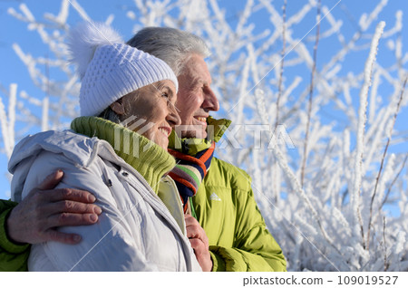 Close up portrait of happy senior couple at snowy winter park 109019527