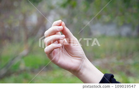 Hand holding a small mustard seed Hand holding a small mustard seed 109019547