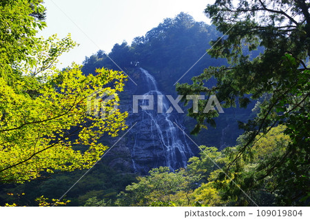 大杉谷（三重縣） 109019804