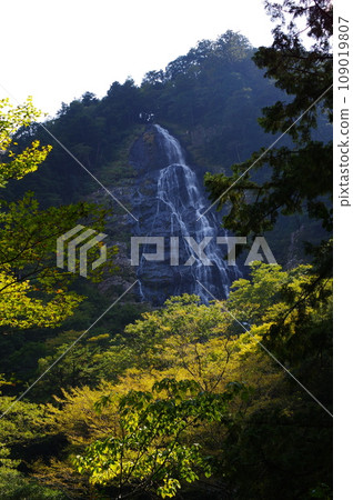 大杉谷（三重縣） 109019807
