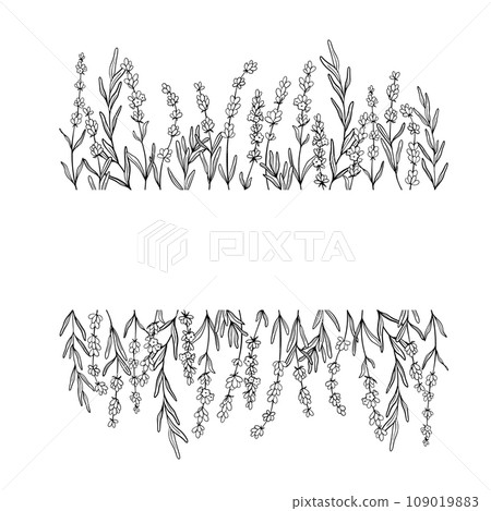 Frame of Lavender flower line art drawing. Hand drawn black ink sketch. Design border for wedding invitation, logo, cards, packaging and labeling. Botanical rustic trendy greenery vector illustration. 109019883