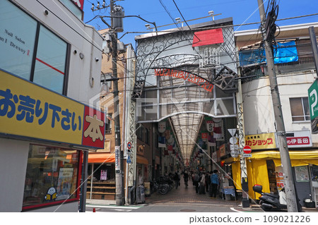 Nakanobu Shopping District Nakanobu Skip Road 109021226