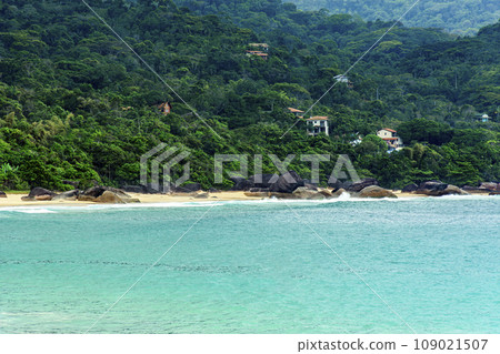 Beach surrounded by forest 109021507