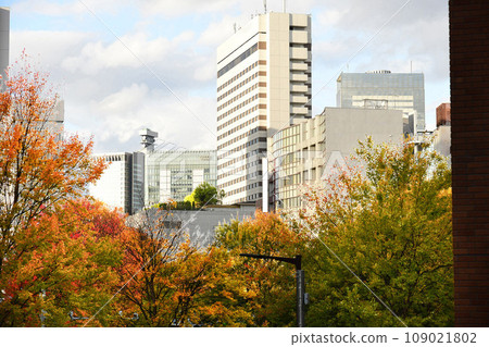 秋葉和建築物 109021802
