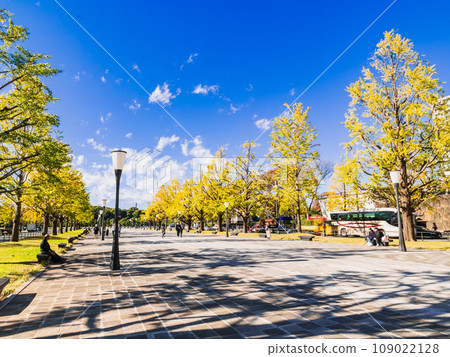 東京車站前行幸街的銀杏樹秋景 109022128