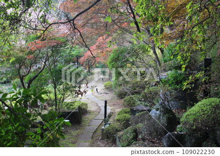 益子町圓通寺 益子町圓通寺 109022230