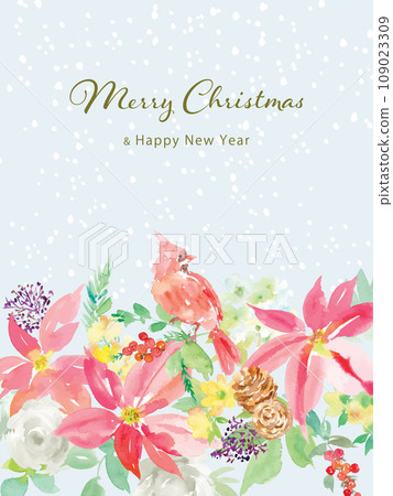 Christmas card illustration of poinsettia and cardinal painted in watercolor 109023309