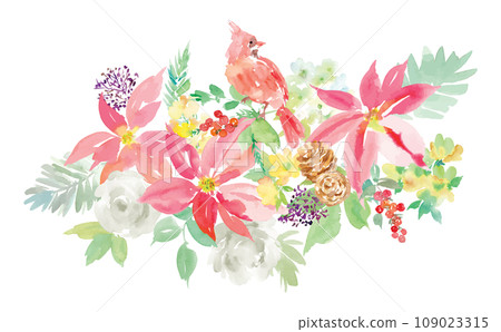 一品紅和紅衣主教畫水彩的聖誕背景插圖 109023315