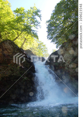 Nishizawa Valley-Pure mountain stream and majestic waterfall Nishizawa Valley-Pure mountain stream and majestic waterfall 109023548