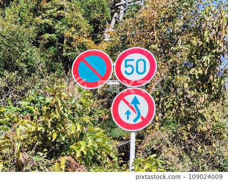 Road sign No parking + Speed 50 + No passing 109024009