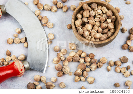 White cardamon seed, spice. White cardamon seed, spice. 109024193