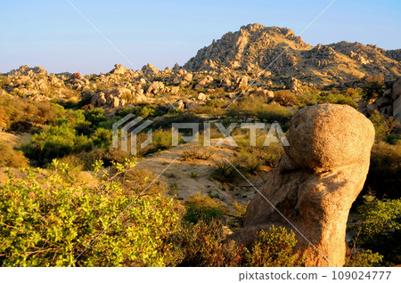 Texas Canyon Sonora Desert Arizona Texas Canyon Sonora Desert Arizona 109024777