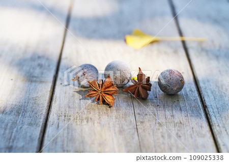 Nagi and shikimi fruit (autumn, November) Nagi and shikimi fruit (autumn, November) 109025338
