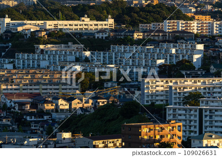 [Kanagawa Prefecture] Early morning scenery of residential area/Yokohama city suburbs area 109026631
