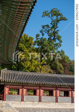Korean Traditional Building in Secret Garden or Huwon of Changdeokgung Palace with ceautiful autumn foliage. It was used as a place of leisure by members of the royal family Korean Traditional Building in Secret Garden or Huwon of Changdeokgung Palace with ceautiful autumn foliage. It was used as a place of leisure by members of the royal family 109027692