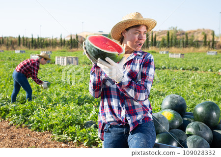Woman with half of watermelon on fruit farm 109028332
