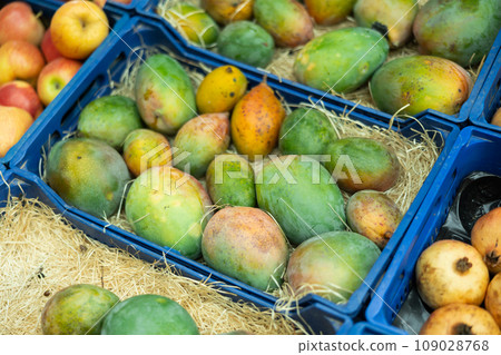 Pile of mangoes lies on counter in shop Pile of mangoes lies on counter in shop 109028768